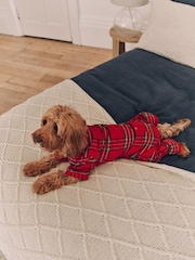 Red Check Matching Family Pets Christmas Flannel 100% Cotton Pyjamas - Image 4 of 7