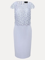 Phase Eight Blue Petite Daisy Lace Double Layer Dress - Image 7 of 7