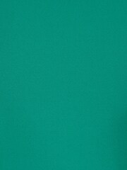 Adrianna Papell Wide Leg Green Bow Detail Jumpsuit - Image 7 of 7