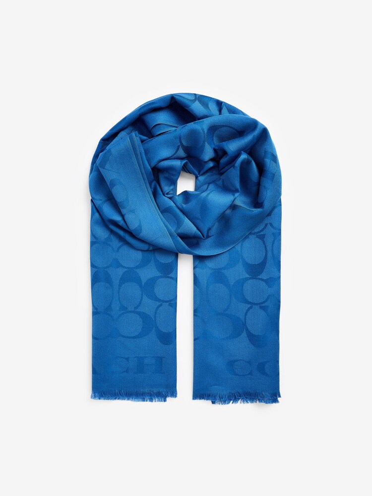 Sky Blue Fiorelli Mimi Scarves - Image 1 of 4