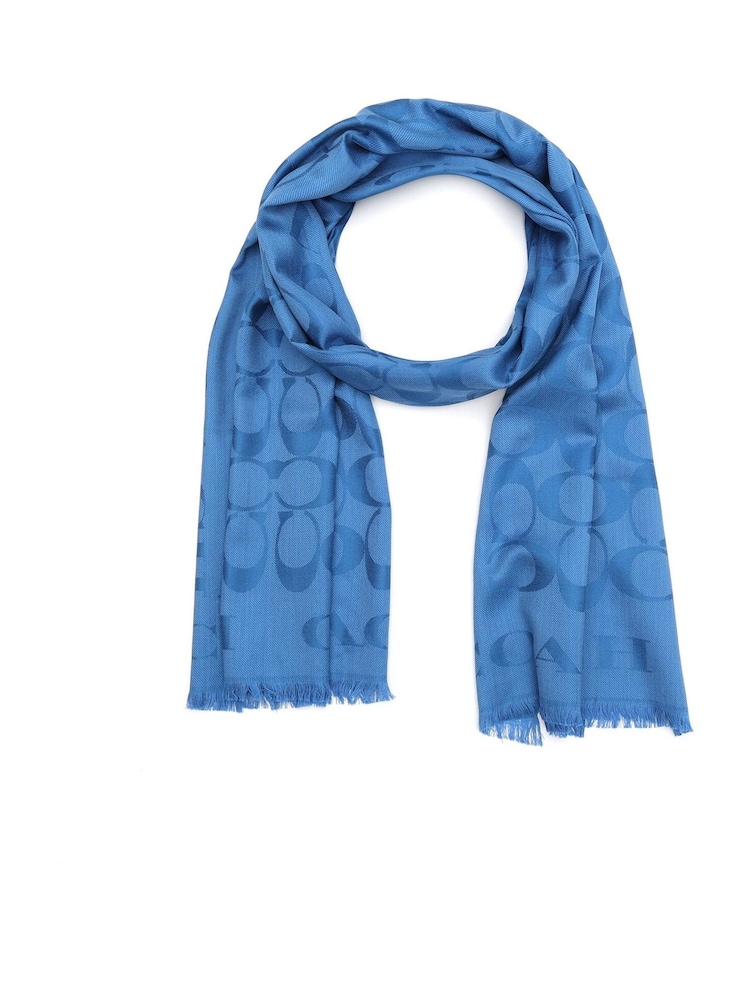 Sky Blue Fiorelli Mimi Scarves - Image 2 of 4