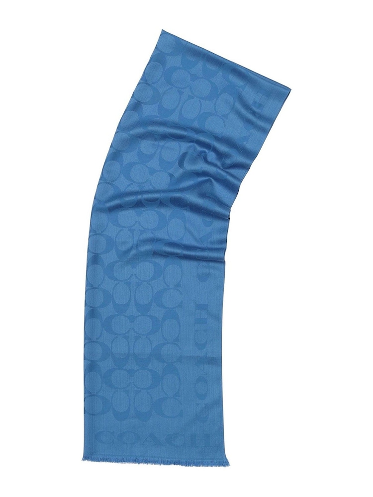 Sky Blue Fiorelli Mimi Scarves - Image 4 of 4