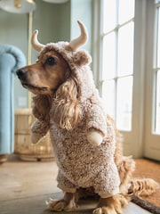 Hamish the Highland Cow Cow Pet Fancy Dress Costume - Image 4 of 6
