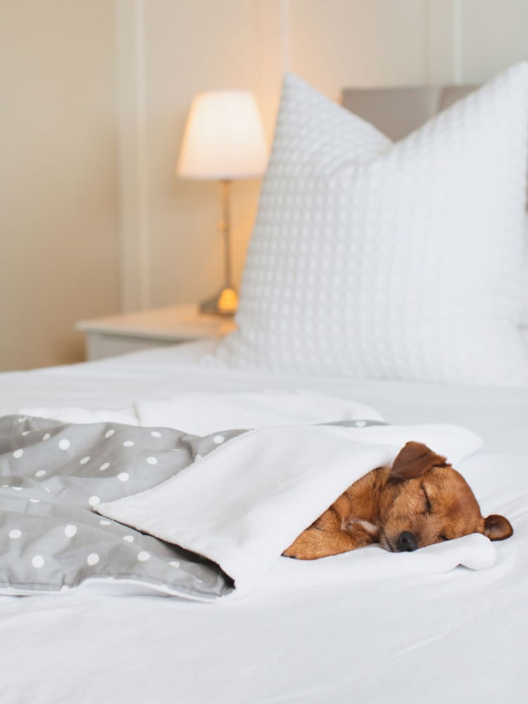 Lords and Labradors Grey Spot 100% Cotton Pet Blanket - Image 1 of 3