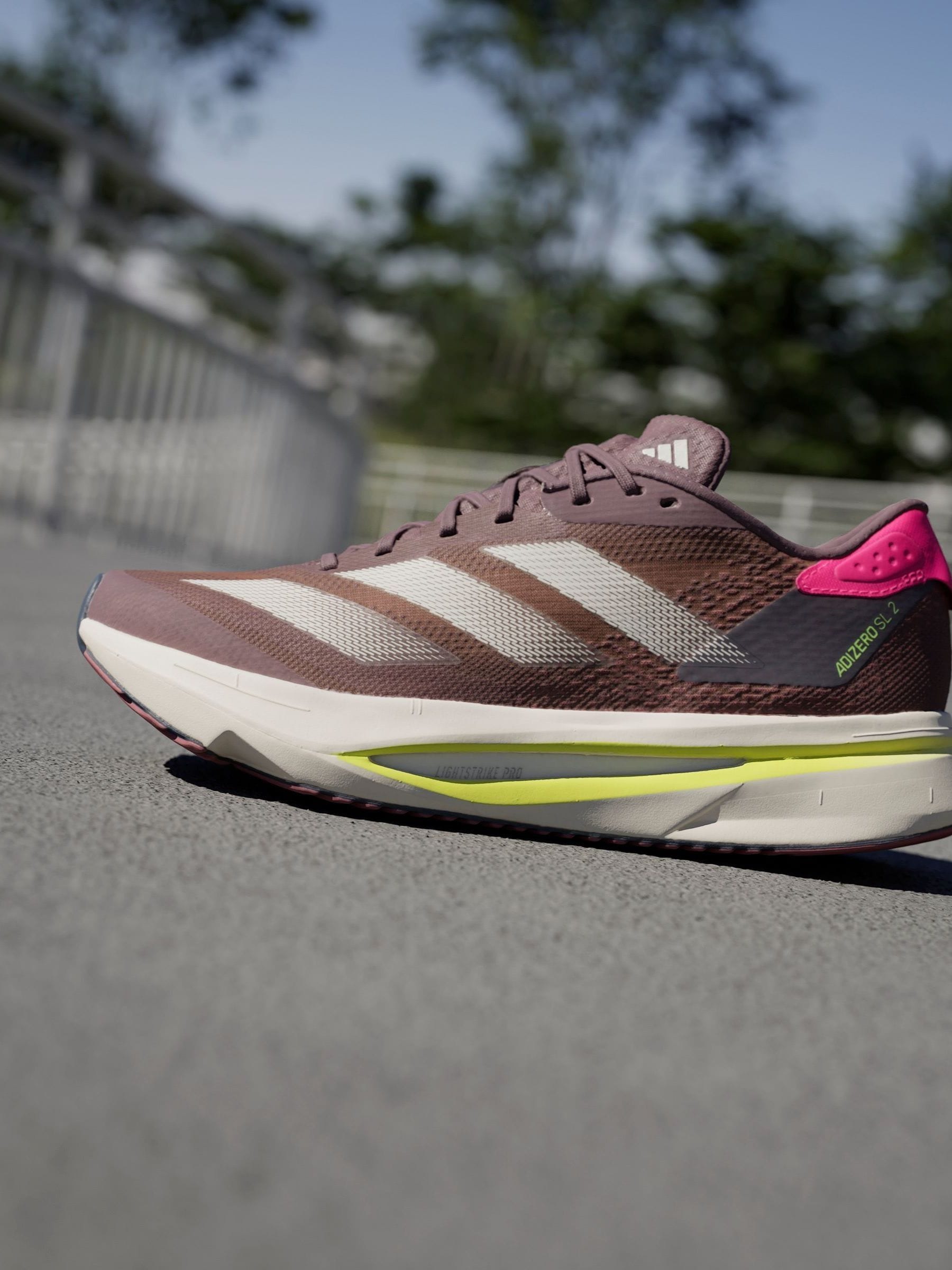 Buy adidas Purple Adizero SL2 Shoes from Next Luxembourg