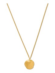 Orelia London 18k Gold Plating Scallop Coin Necklace - Image 2 of 2
