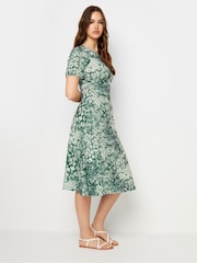 Long Tall Sally Green LTS Tall Sage Green Animal Print Midi Dress - Image 4 of 5