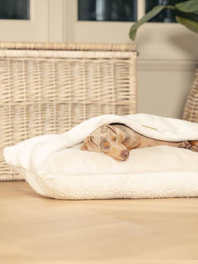 Lords and Labradors Ivory Boucle Sleepy Burrows Dog Bed - Image 2 of 4