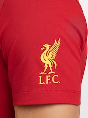 Футболка Nike Liverpool FC You'll Never Walk Alone - Image 4 of 5
