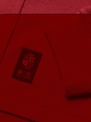Canterbury Red British & Irish Lions Rugby Classic Long Sleeve Jersey - Image 8 of 9