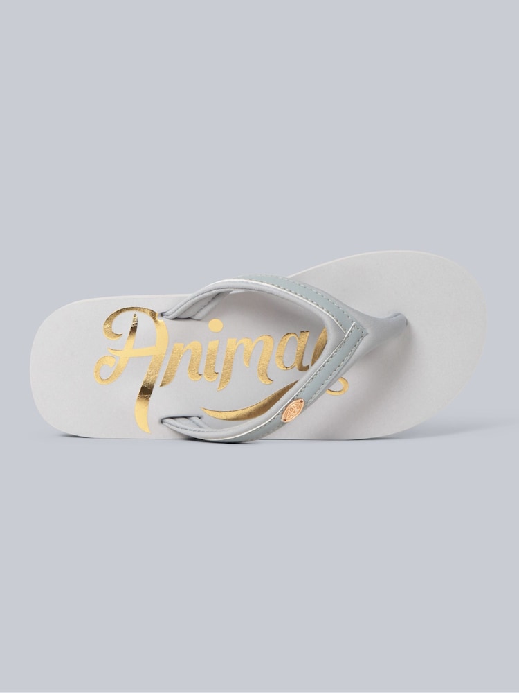 Animal Grey Womens Swish Flip Flops - Image 2 of 5