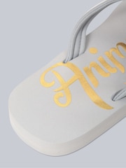Animal Grey Womens Swish Flip Flops - Image 5 of 5