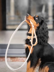 Lords and Labradors Sandstone Essentials Herdwick Dog Lead - Image 2 of 4