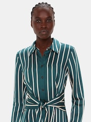 Whistles Green/Multi Petite Petite Printed Stripe Shirt Dress - Image 3 of 4