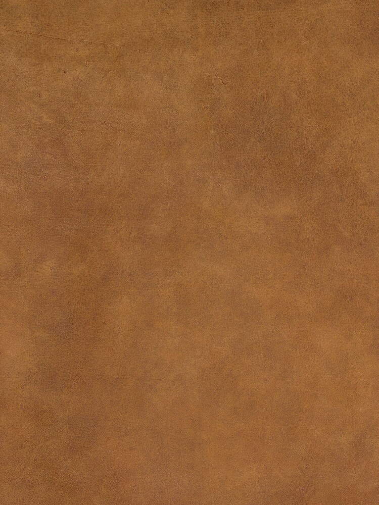 Barker and Stonehouse Brown Kansas Leather Armchair - Image 7 of 7