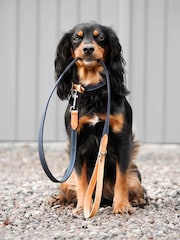 Lords and Labradors Denim Essentials Twill Dog Lead - Image 1 of 6