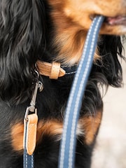 Lords and Labradors Denim Essentials Twill Dog Lead - Image 2 of 6