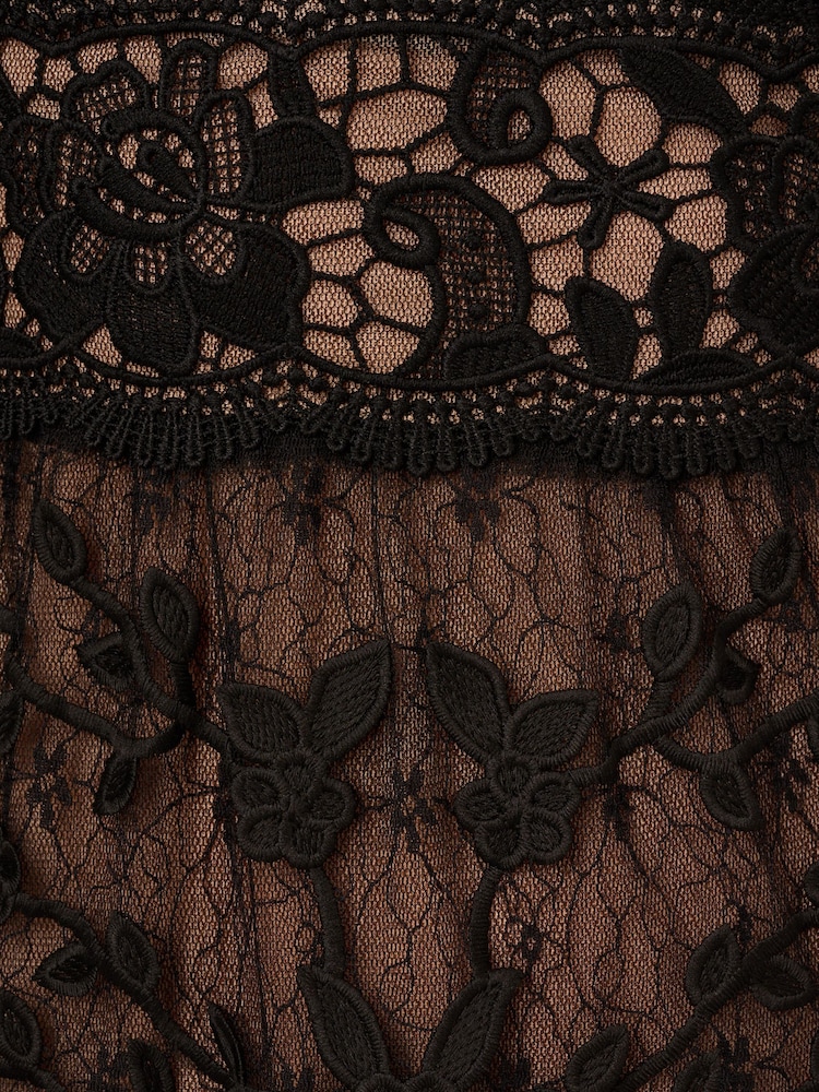 Buy Adrianna Papell Black Lace Embroidery Dress from the Next UK online shop