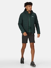 Regatta Green Daxford Water Repellent Jacket - Image 3 of 8