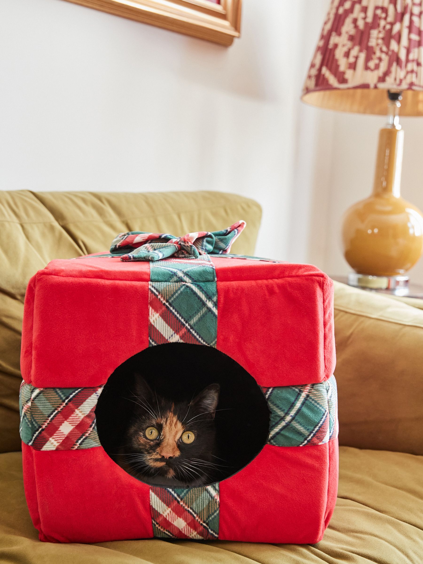 Red cat bed top