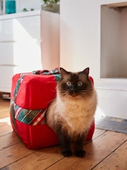 Red Present Cat Bed - Image 2 of 13