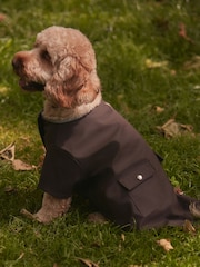 Chocolate Brown Rubber Dog Coat - Image 1 of 10