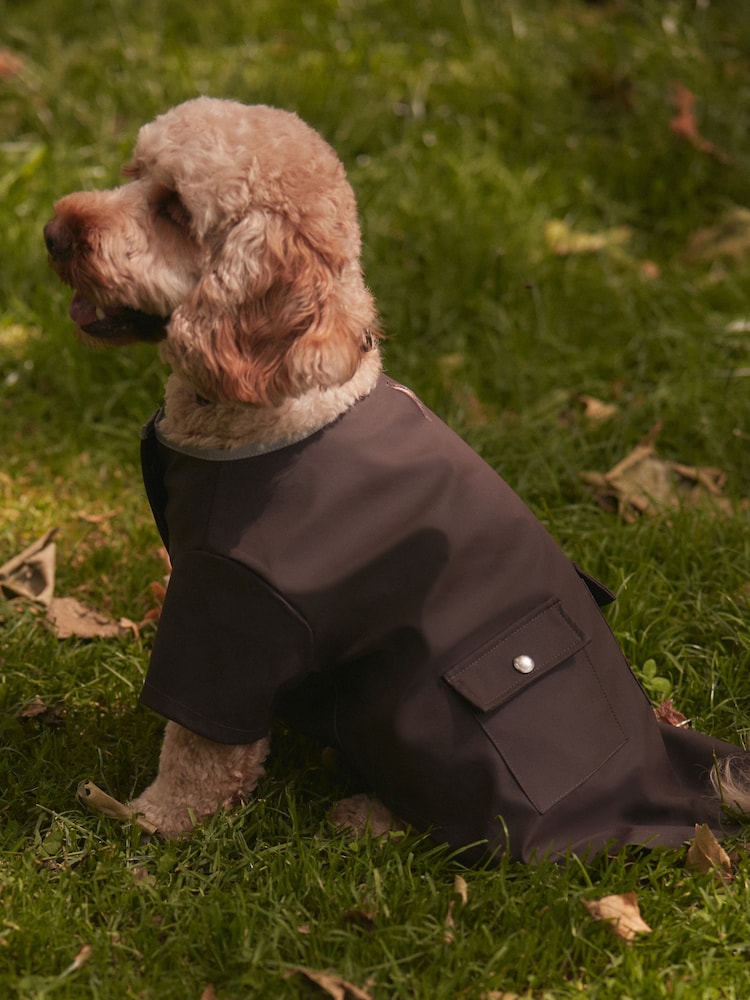Chocolate Brown Rubber Dog Coat - Image 1 of 10