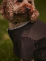 Chocolate Brown Rubber Dog Coat - Image 4 of 10