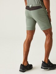 Regatta Green Mountain II Walking Shorts - Image 2 of 7