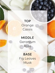 Country Luxe 400ml Pure Harmony Orange and Geranium Fragranced Reed Diffuser Refill - Image 4 of 4