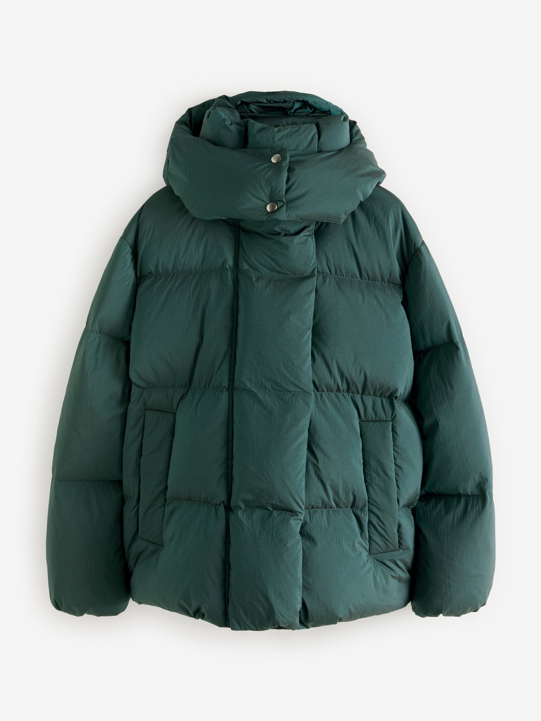 若者の大愛商品 Buy Green Premium Real Down Filled Padded Jacket from Next Netherlands トップス