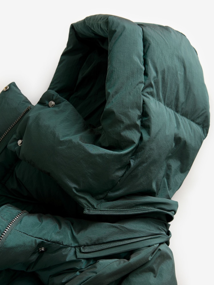 Buy Green Premium Real Down Filled Padded Jacket from Next Netherlands