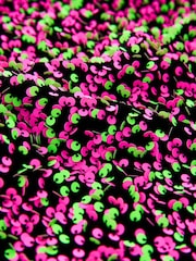 Pink/Green Velour Sequin Party Dress (3-16yrs) - Image 7 of 7
