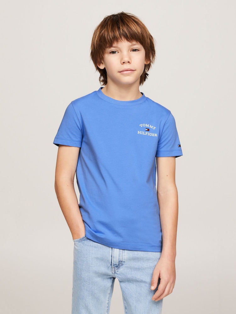 أزرق - تيشرت قطن 100% بشعار Tommy Hilfiger - صورة 1 من 6 أزرق - تيشرت قطن 100% بشعار Tommy Hilfiger - صورة 1 من 6