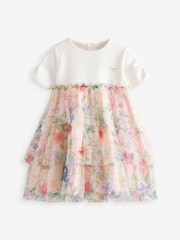 Baker by Ted Baker Mesh Dress - Image 1 of 6