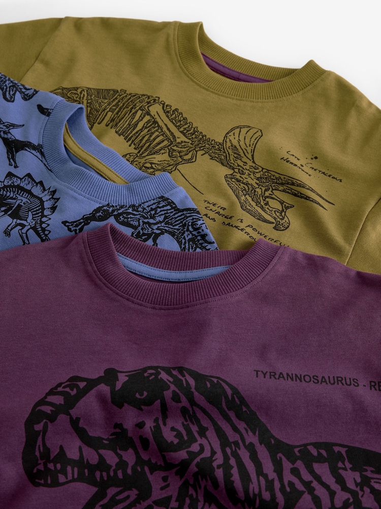 Olive Green/Blue/Purple Dinosaur 3 Pack 100% Cotton Long Sleeve Pyjamas (3-16yrs) - Image 10 of 11