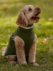 Green/Orange Reversible Padded Dog Coat - Image 1 of 12