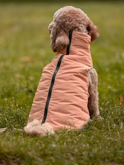 Green/Orange Reversible Padded Dog Coat - Image 2 of 12