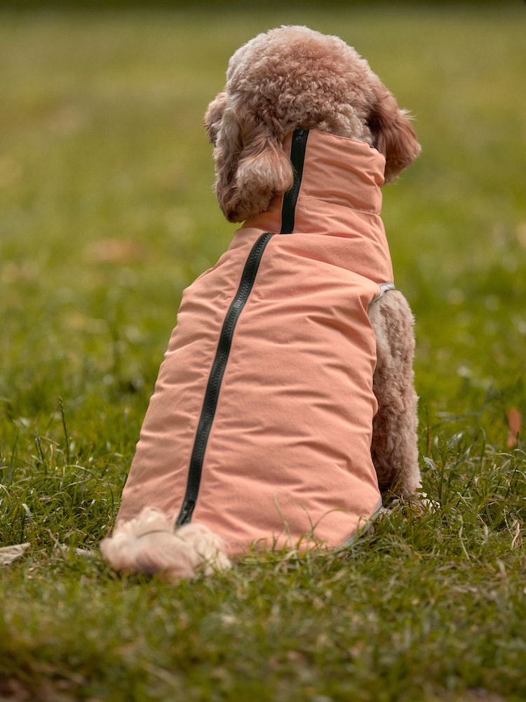 Green/Orange Reversible Padded Dog Coat - Image 2 of 12