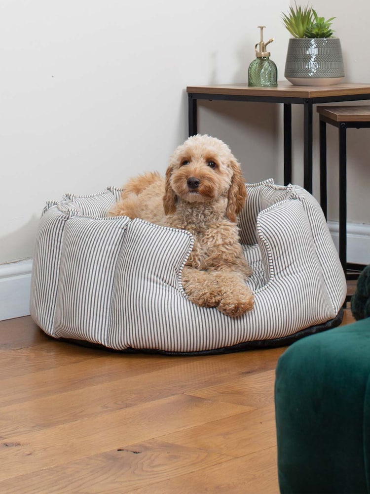 Lords and Labradors Regency Stripe Striped High Sided Dog Bed - Image 2 of 4