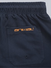 Animal Blue Voyage Kids Boardshorts - Image 5 of 5