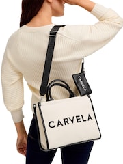 Carvela Sorrento Stripe Nude Shopper Bag - Image 5 of 5
