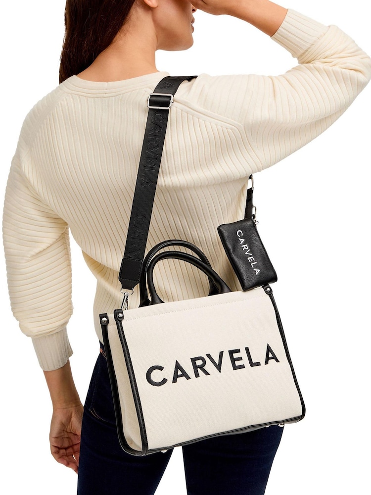 Carvela Sorrento Stripe Nude Shopper Bag - Image 5 of 5