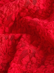 Red Slash Neck Long Sleeve Lace Top - Image 8 of 8