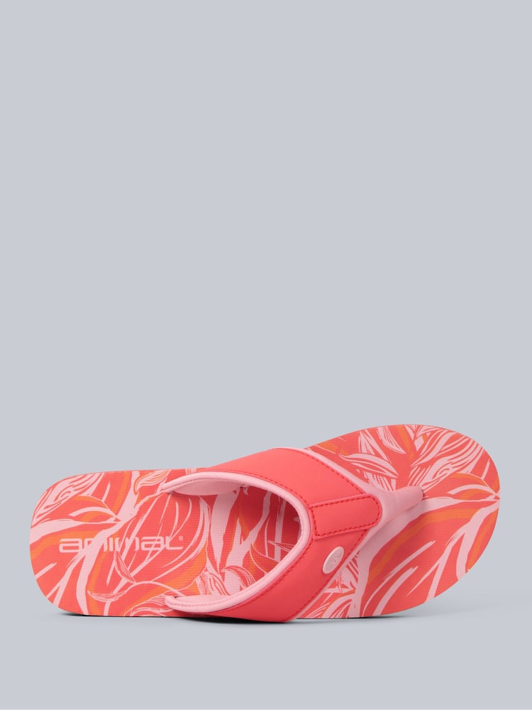 Animal Orange Womens Swish Flip Flops - Image 2 of 5 Animal Orange Womens Swish Flip Flops - Image 2 of 5
