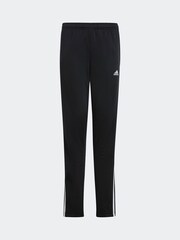 adidas Green/White Sportswear Essentials 3-Stripes Tiberio Tracksuit - Image 7 of 7
