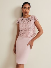 Phase Eight Pink Petite Daisy Lace Double Layer Dress - Image 1 of 7
