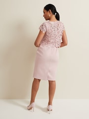 Phase Eight Pink Petite Daisy Lace Double Layer Dress - Image 3 of 7