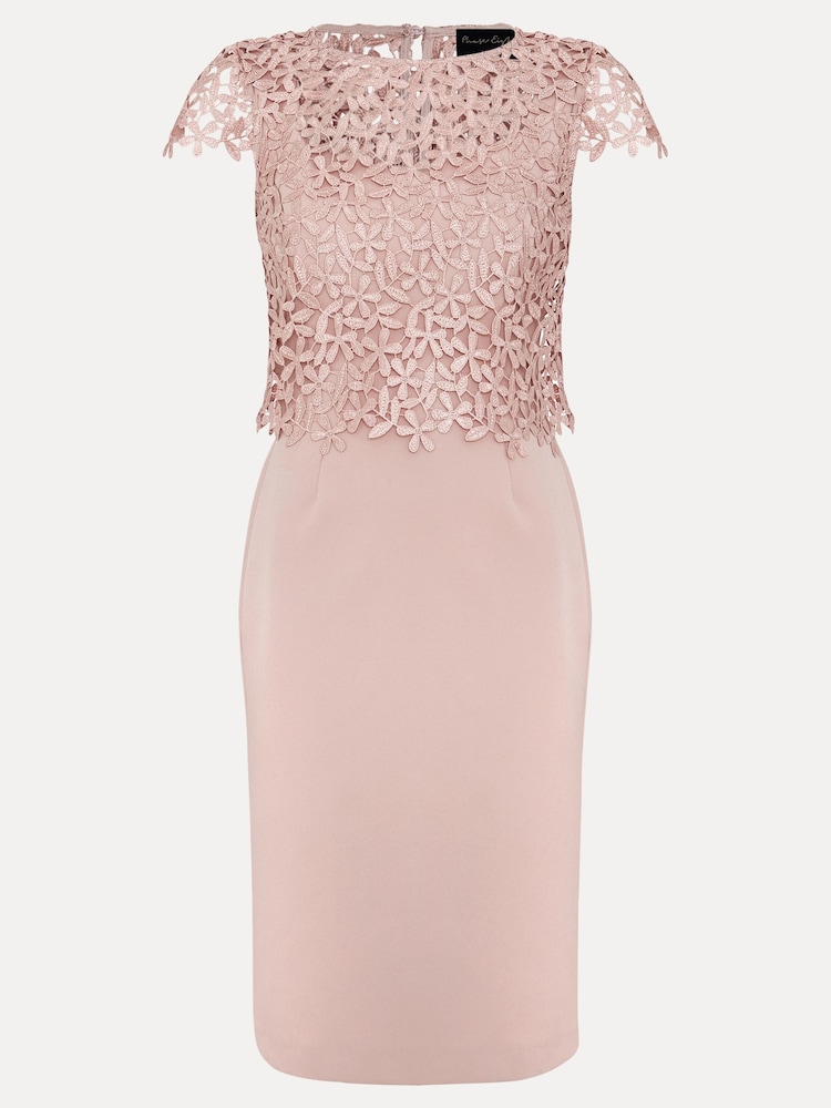 Rosa - Phase Eight Daisy Lace Double Layer Dress - Imagen 7 de 7 Rosa - Phase Eight Daisy Lace Double Layer Dress - Imagen 7 de 7