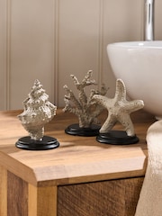 Conjunto de ornamentos de vida marinha 3 - Imagem 1 de 6